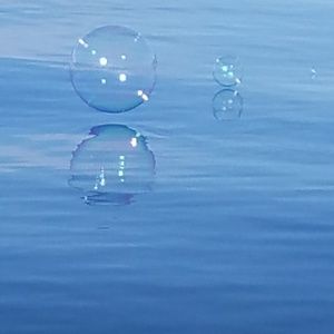 Meet your Posher, Lisi